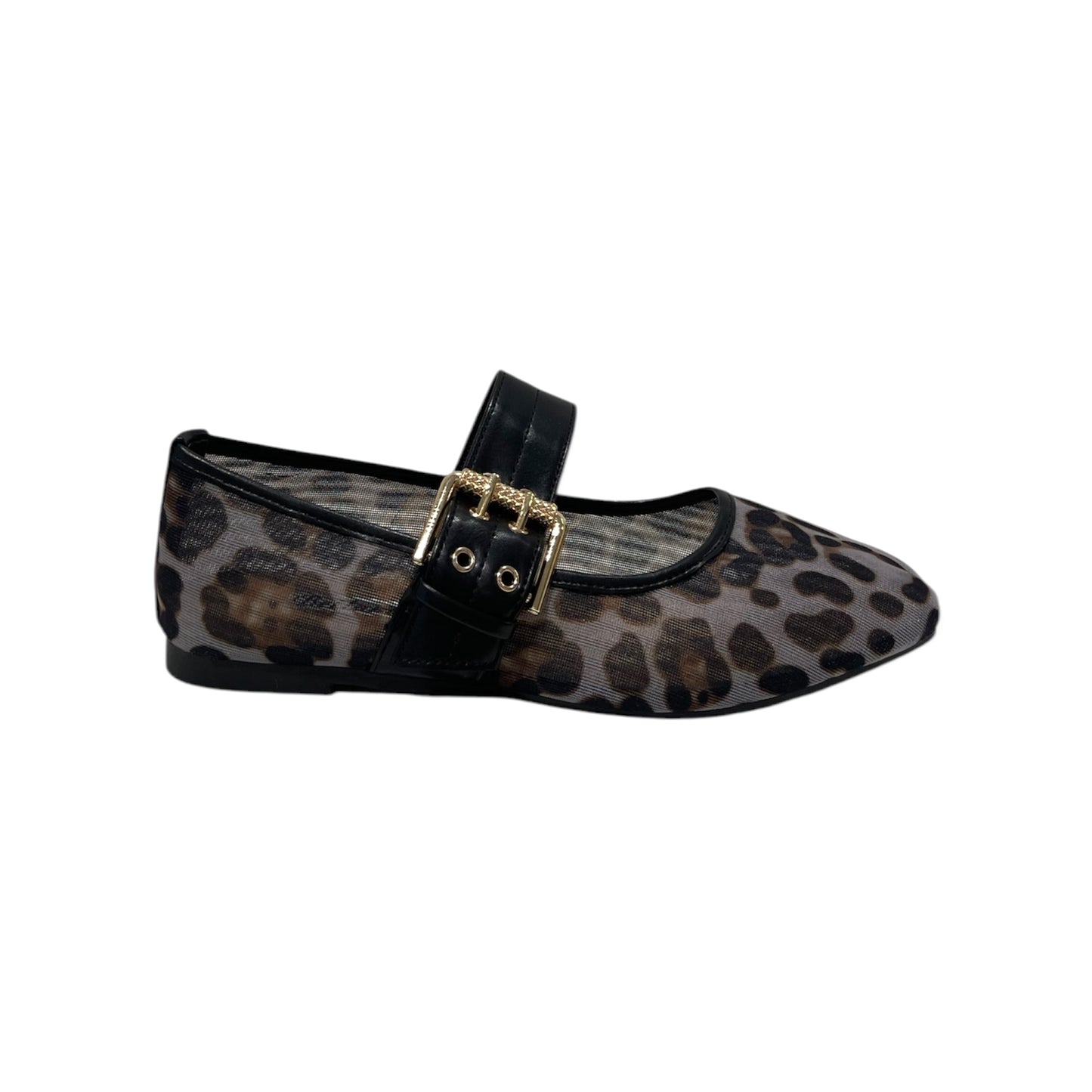 GINEVRA-BALLERINE