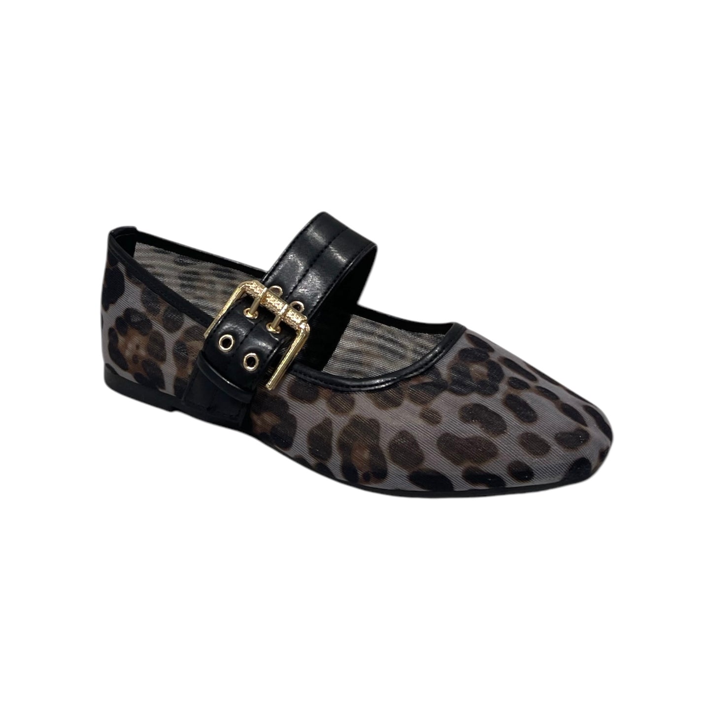 GINEVRA-BALLERINE